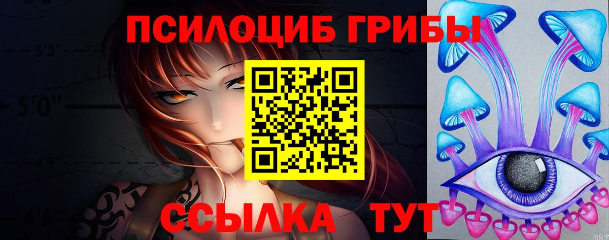 Псилоцибиновые грибы Cubensis Муравленко